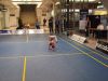 Filename=P2083534.JPG
Filesize=98KB
Dimensions=640x480
Date added=Feb 27, 2009 P2083534.JPG